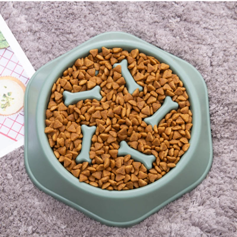 Slow Food Bowl for Small Dogs