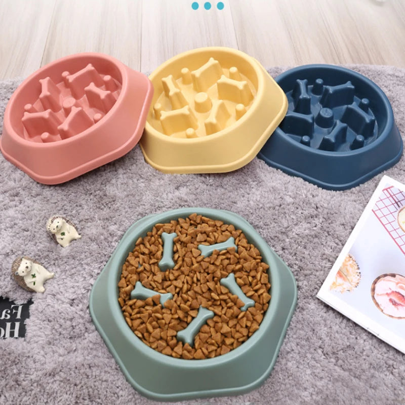 Slow Food Bowl for Small Dogs