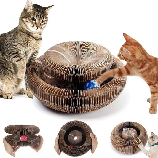 Magic Organ Cat Toy Cats