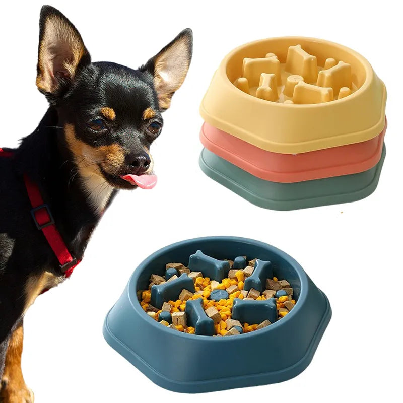 Slow Food Bowl for Small Dogs