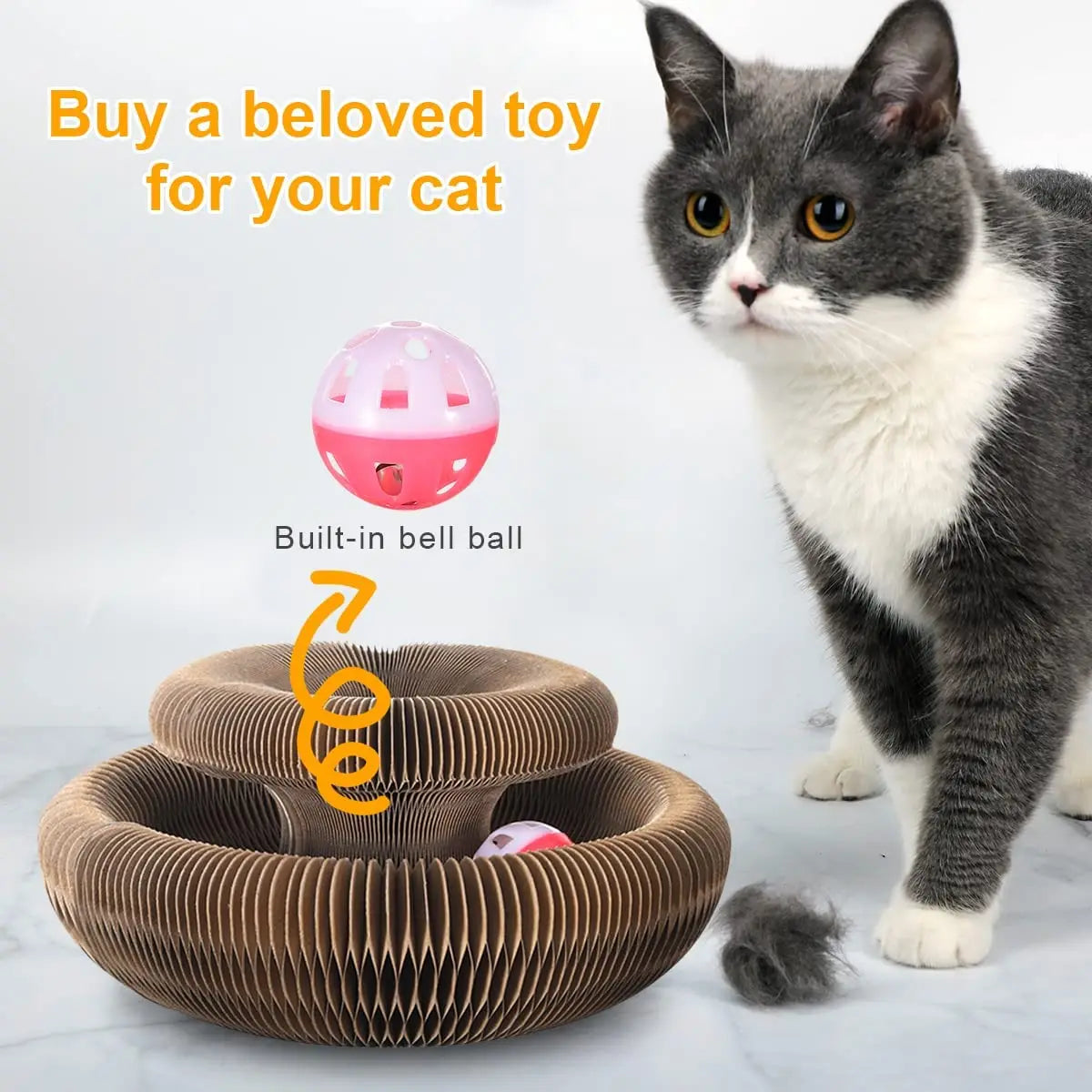 Magic Organ Cat Toy Cats