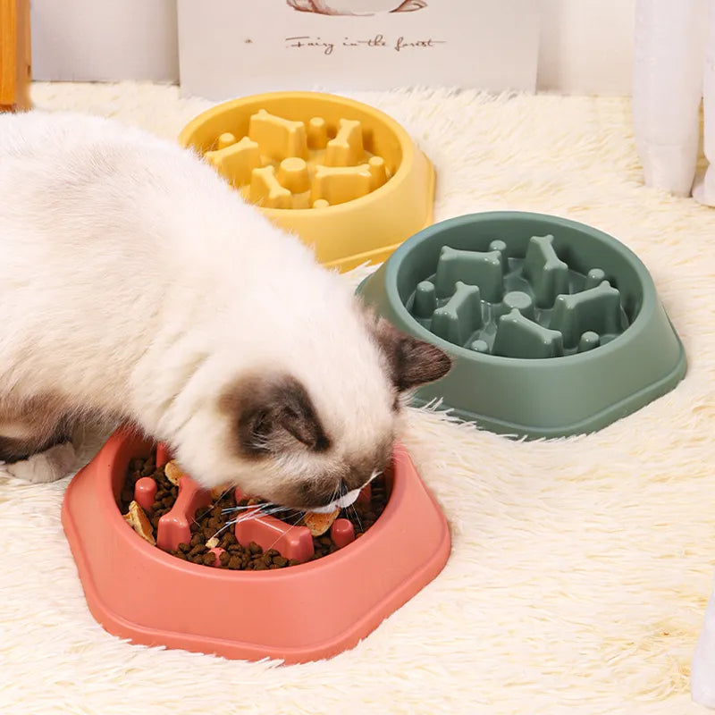 Slow Food Bowl for Small Dogs