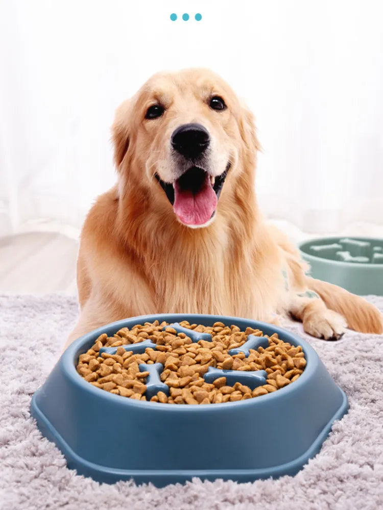 Slow Food Bowl for Small Dogs