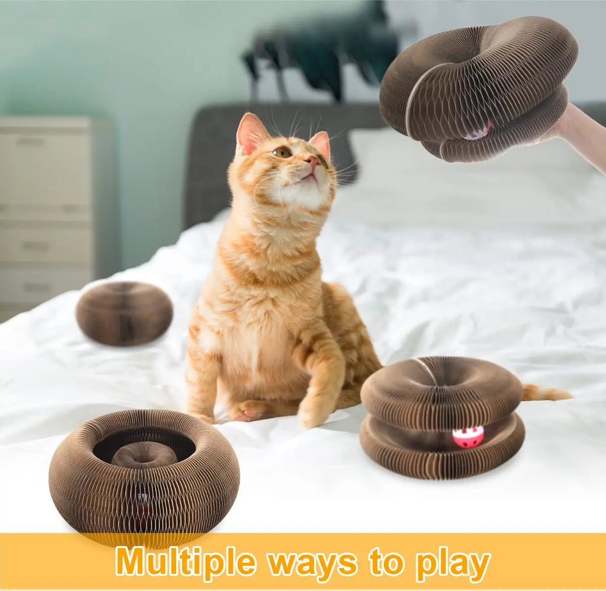 Magic Organ Cat Toy Cats